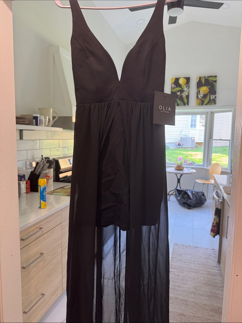 Black V-Neck Sheer Maxi Dress